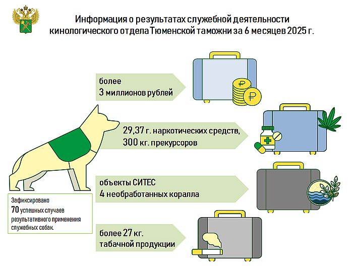Инфографика предоставлена пресс-службой Тюменской таможни